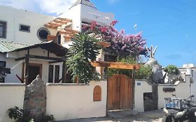 Alma De Cedrela